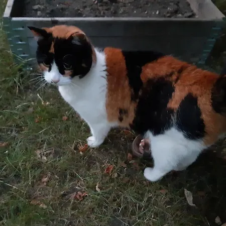 Trocadero 2p Coté Jardin Appartamento *