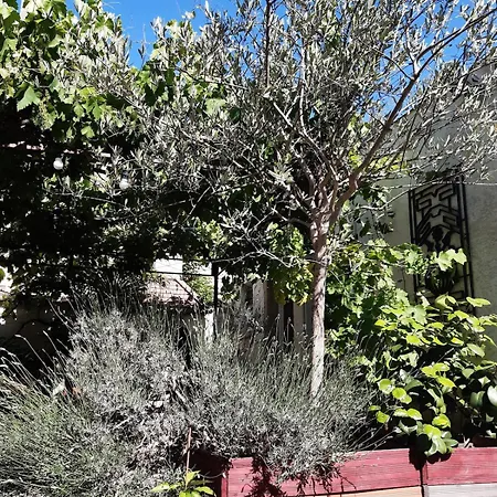 Trocadero 2p Coté Jardin * Rosny-sous-Bois