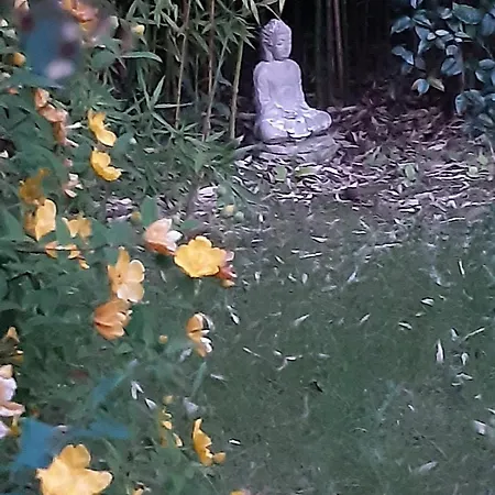 Trocadero 2p Cote Jardin Rosny-sous-Bois